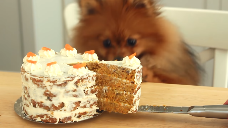Carrot-Cake-FOR-DOGS